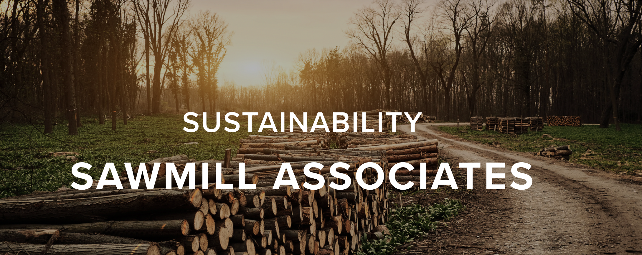 Sawmill Associates